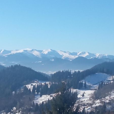 На Березові Krivorivnya Kültér fotó
