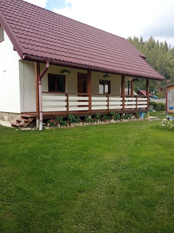 На Березові Krivorivnya Kültér fotó
